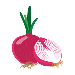 Wall Mural - Red onion with slice flat design, Red onion isolated on white background. vector illustration.