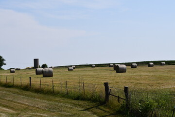 Wall Mural - Hay Bales in a Farm Field