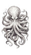 a drawing of an octopus in black and white. Tattoo idea for a ocean theme.