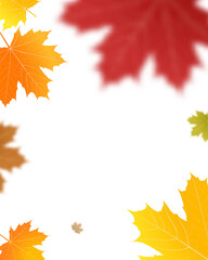 Wall Mural - autumn colored fall leaf texture on transparent background overlay. png illustration
