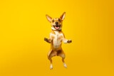 Dog jumping up in the air with its paws in the air and it's mouth open. Generative AI.
