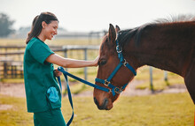 Woman Veterinary, Horse And Medical Care Outdoor For Health And Wellness In The Countryside. Happy Doctor, Professional Nurse Or Vet Person With An Animal For Help, Touch And Healthcare At A Ranch