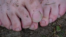 Extreme Close Up Of Slightly Dirty Bare Feet And Toes With Some Soil In The Nails While Resting Legs On The Ground.