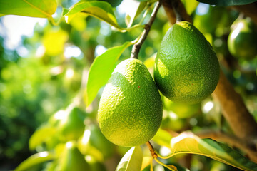 Sticker - avocado on a branch