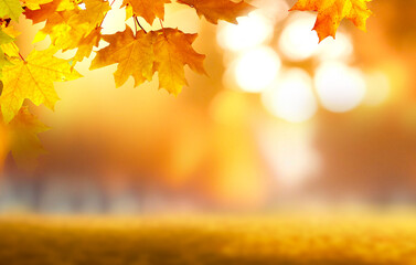 Poster - Beautiful  blurred gentle universal natural light autumn background with yellow leaves and blurred bokeh.