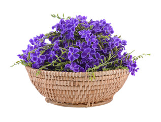 Wall Mural - Purple flowers in basket on transparent png