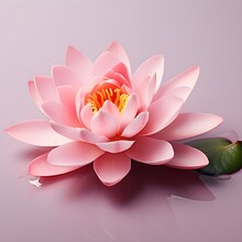 Hyper Realistic Illustration Of A Pink Waterlily On Wet Surface. Waterlily, Pink, Flower. Created With Generative AI Technology. 
