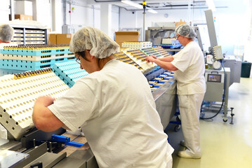 Wall Mural - Production of pralines in a factory for the food industry - automatic conveyor belt with chocolate