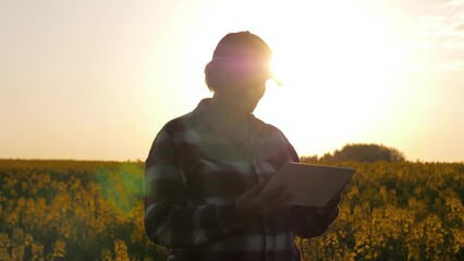 Female farmer stands in field of bloom rapeseed at sunset using digital tablet. Agronomist businessman uses modern technologies to check harvest transmit information. Cultivation agricultural products