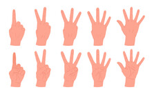 Cartoon Counting Hands Gestures. Human Palms With Count From One To Five Gestures, Hands With Countdown Gesture Flat Vector Illustration Set