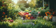 Shopping Cart Filled With Fruits And Vegetables Growing Into A Lush Garden , Concept Of Farm To Table, Created With Generative AI Technology