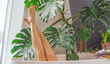 © T.Den_Team - Illustration about hygiene, intimate woman's question, ladies private life concept