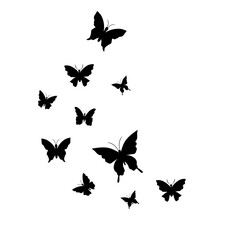 Flying Butterfly Illustration