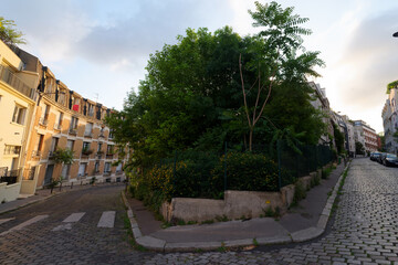 Poster - Cobbled street on the Butte Bergeyre in Paris city