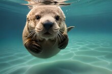 Seal In The Sea Water Created Using Generative AI Tools