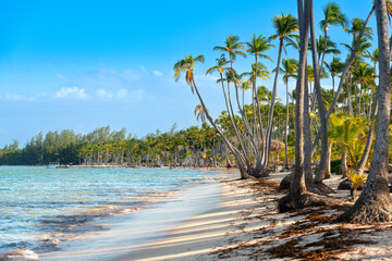 Wall Mural - Bavaro Beach in Punta Cana at the Dominican Republic