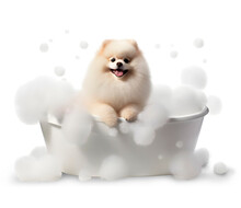Cute Pomeranian Dog In A Bath With Foam, Isolated On Transparent Background, Cute Pet Concept, Realistic 3D Illustration, Generative Ai