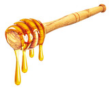 Fototapeta  - honey dripping dipper isolated on white background