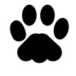© Tcorporation - leopard Paw transparent