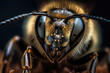 Macro Shot of a Bee