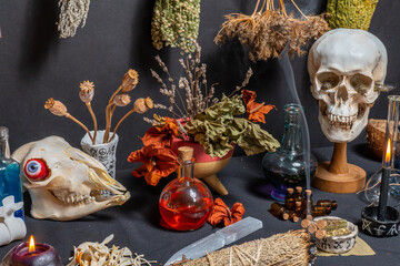 Wall Mural - Human skull witchcraft magic ritual. Black magic related objects and tools. Still life in gothic Halloween style of witch alchemist and magician concept. Surrounded by black burning candles.