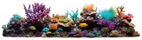 Fototapeta  - Colorful coral reef with marine flora and fauna over transparent background