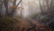 A spooky autumn forest, mysterious beauty in nature tranquil scene generated by AI