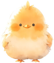 Cute Yellow Baby Chick Illustration