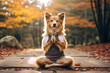 Dog doing yoga in autumn park, Generative AI