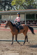 Vertical image of a young woman who is riding a horse while taking lessons in an equestrian center