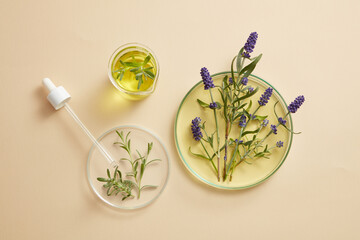 Wall Mural - Lavender flowers and yellow liquid contained inside petri dishes and beaker. Lavender (Lavandula) essential oil has the ability to promote wound healing