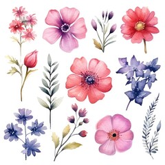 Wall Mural - Watercolor flowers. Set Watercolor of multicolored colorful soft flowers. Flowers are isolated on a white background. Flowers pastel colors. generative ai