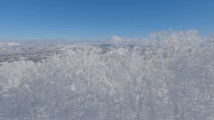 Wall Mural - slow motion aerial view of icy trees and snowy winter landscape, hokkaido, japan