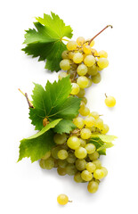 Wall Mural - wine grape with real transperent shadow on transperent background; sweet white grapes and leaf