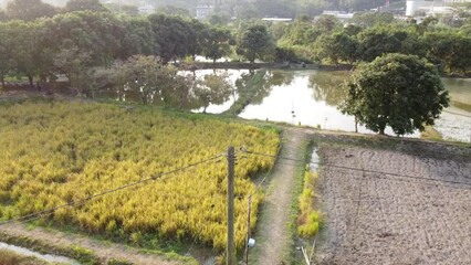 Poster - Raisiing drone footage over fields and trees near rural houses and reflecting ponds on a sunny day