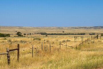 Wall Mural - Scenic view of swallows on a fence wire in Thunder Basin National Grassland, Wyoming