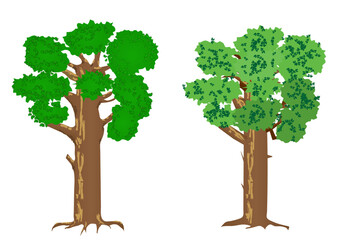 Set of two big trees isolated on white background. Vector illustration.