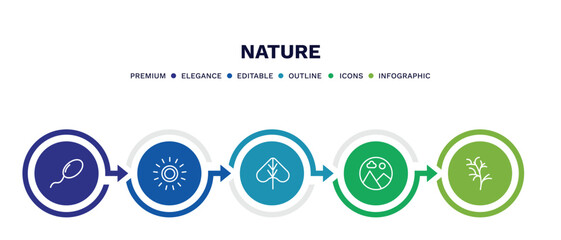 Wall Mural - set of nature thin line icons. nature outline icons with infographic template. linear icons such as fertilize clinic, sol, linden leaf, landscape inside frame, cypress leaf vector.