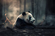 Image of panda exhausted in the midst of wildfires and smoke. Wildlife Animals. Illustration. Generative AI.