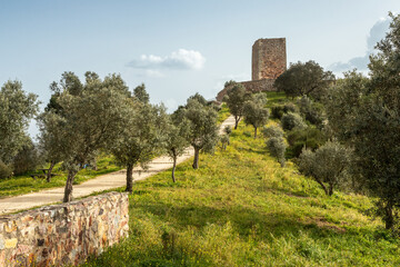 Wall Mural - Ródão castle or King Wamba castle with field of olive trees in the foreground on a sunny day in Vila Velha de Ródão, Portugal.