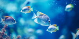 Tropical sea underwater fishes on coral reef. Aquarium oceanarium wildlife colorful marine panorama landscape nature snorkeling diving