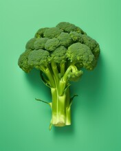 Broccoli On A Green Background