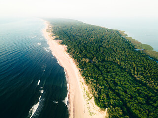 Wall Mural - Beach with white sand and green forest. Aerial view of Curonian spit, Russia.