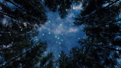 Forest trees at stary night, blue sky and the milky Way through the silhouettes of the trees. Camping at nature, looking from the bottom up to sky, view from below.