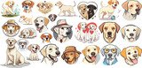 Fototapeta Pokój dzieciecy - Labrador Retriever Dog Vector Collection in cartoon style, dog wearing hat and glasses