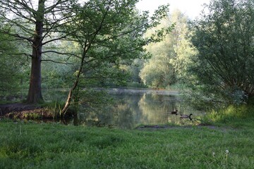 Wall Mural - Picturesque view of green park with river outdoors