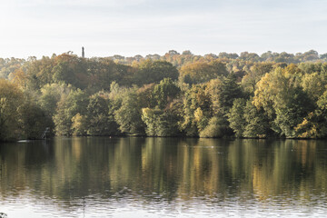 Staffordshire autumnal lakeside landscape sunny day with clouds, travel and nature concept illustration.