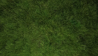 Wall Mural - grass surface. grass background. 3d rendering..