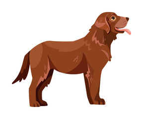 Sticker - Standing Labrador Retriever Dog Breed with Brown Coat Vector Illustration