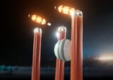 Fototapeta  - Ball Striking Illuminated Cricket Wickets